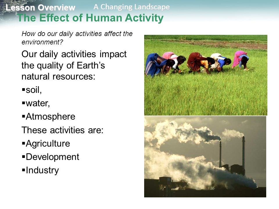 Effects of human activities on environment due to agriculture